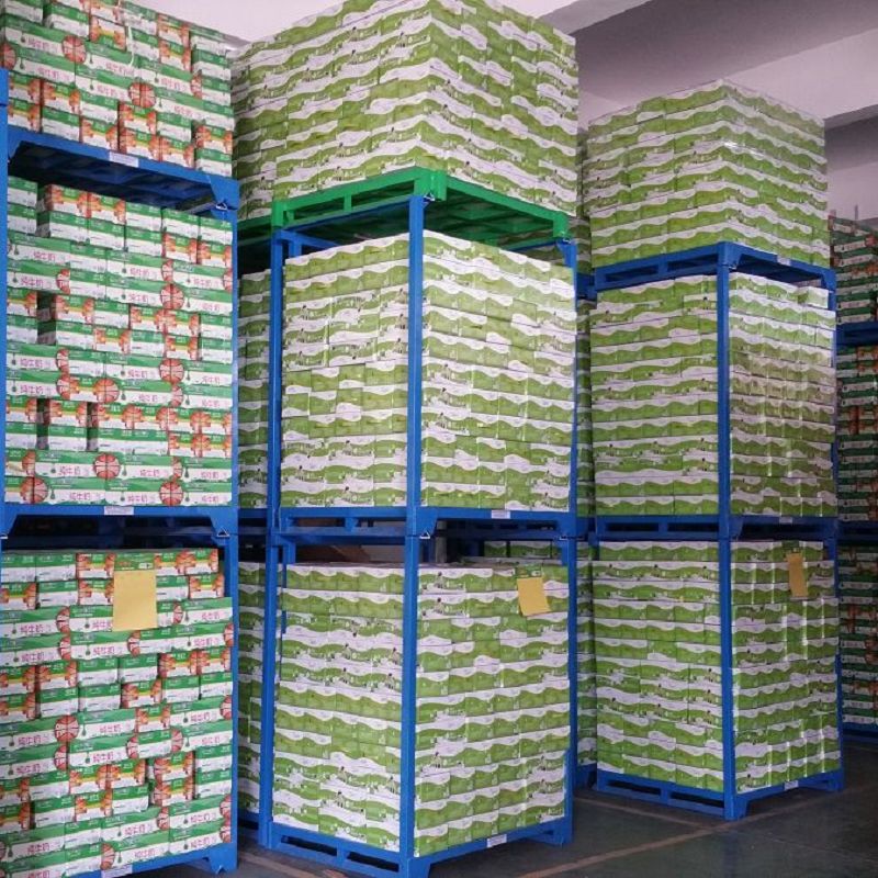 Cold Room Fruit Storage Rack