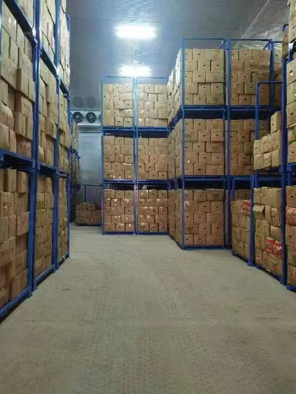 Movable Rack For Frozen Food Storage factory